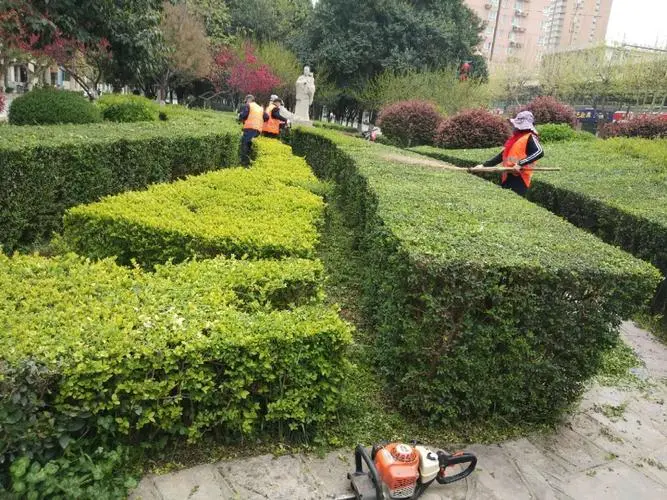 宿迁运河港绿化工程