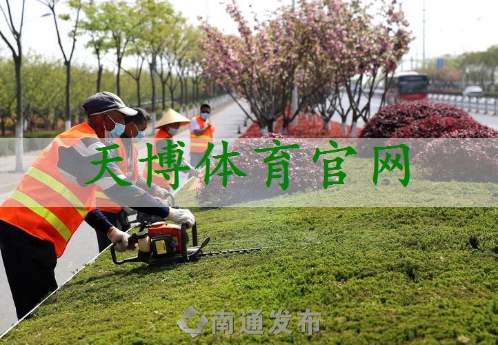 高速公路路边绿化工程包括哪些