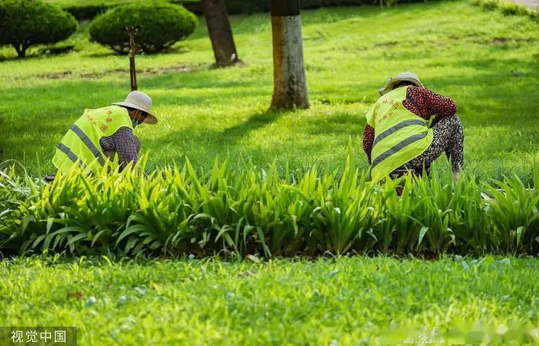 花博会园林景观设计
