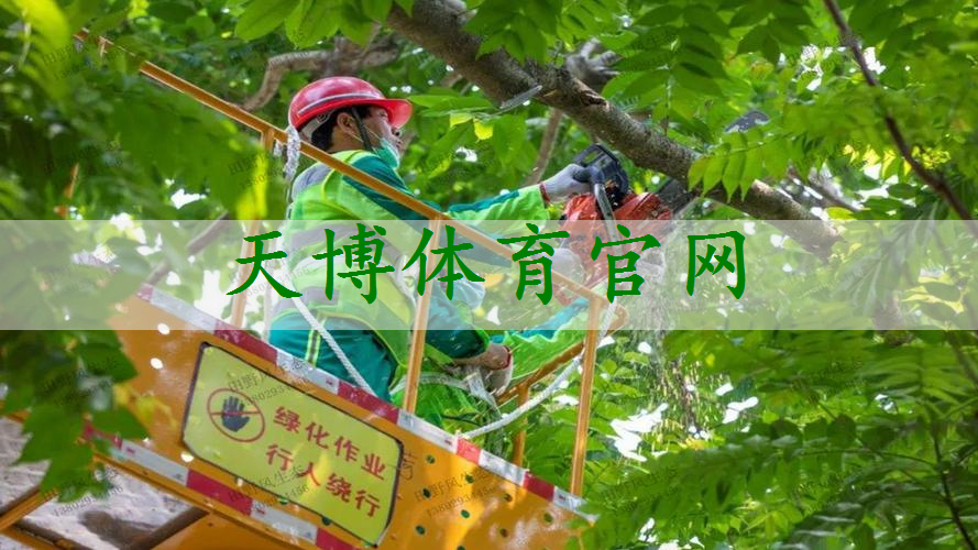 市政园林管理所面试问题概述：探索市民参与城市美化的新模式！